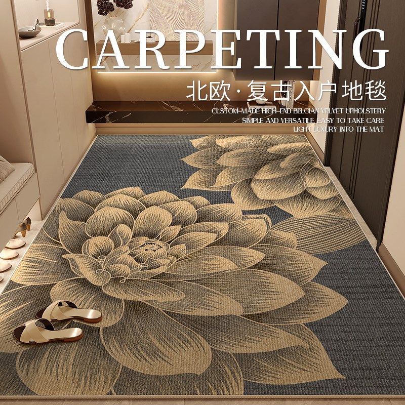 入户门地垫2024新款门口进门轻奢高级感玄关门垫家用大门脚垫地毯
