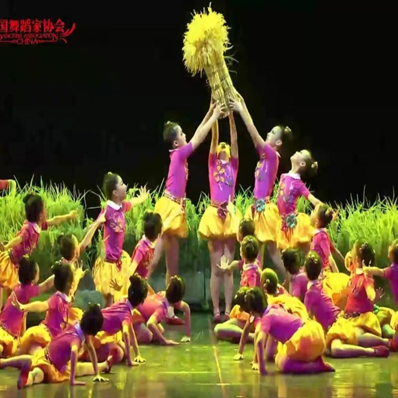 新款第十届小荷风采我们的田野儿童舞蹈表演服装舞台演出服装道具