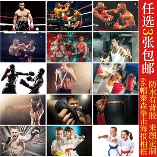 泰森格斗拳击李小龙播求搏击空手道装饰贴画挂画海报背景墙画相框