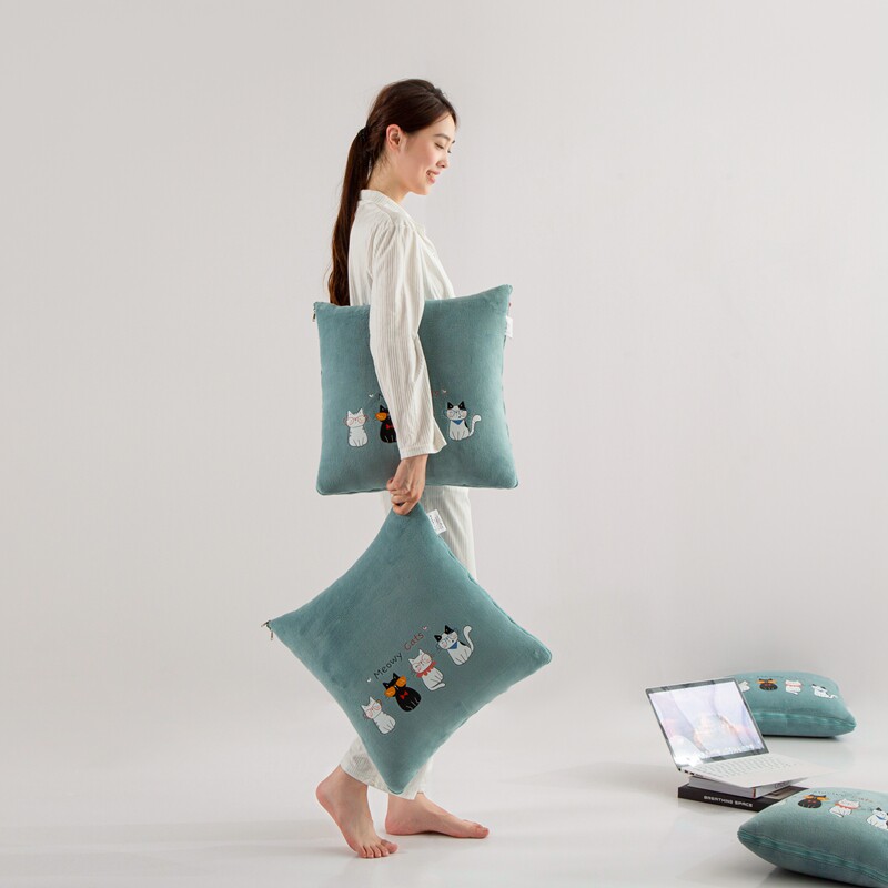 冬季加厚毛毯折叠抱枕被子两用珊瑚绒毯子午睡办公室汽车载二合一,居家布艺,抱枕被,淘宝优惠券,粉丝福利购,淘宝优惠卷