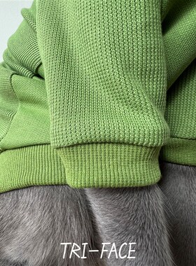 绿色卫衣 三角脸无毛德文阿比暹罗东短俄蓝豹猫春秋冬潮酷帽衫