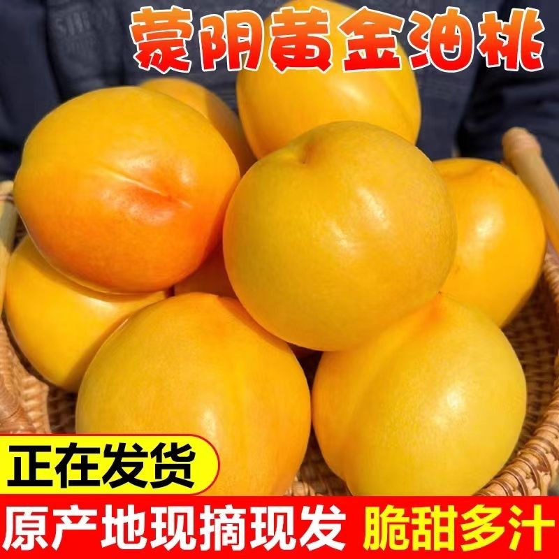 现摘现发山东蒙阴蜜桃黄金油桃应季水果产地直发脆甜多汁桃子1.
