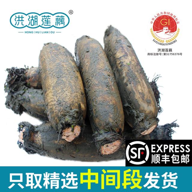 洪湖粉藕华贵洪湖正宗莲藕煲汤粉藕三斤/五斤带泥发货湖北特产