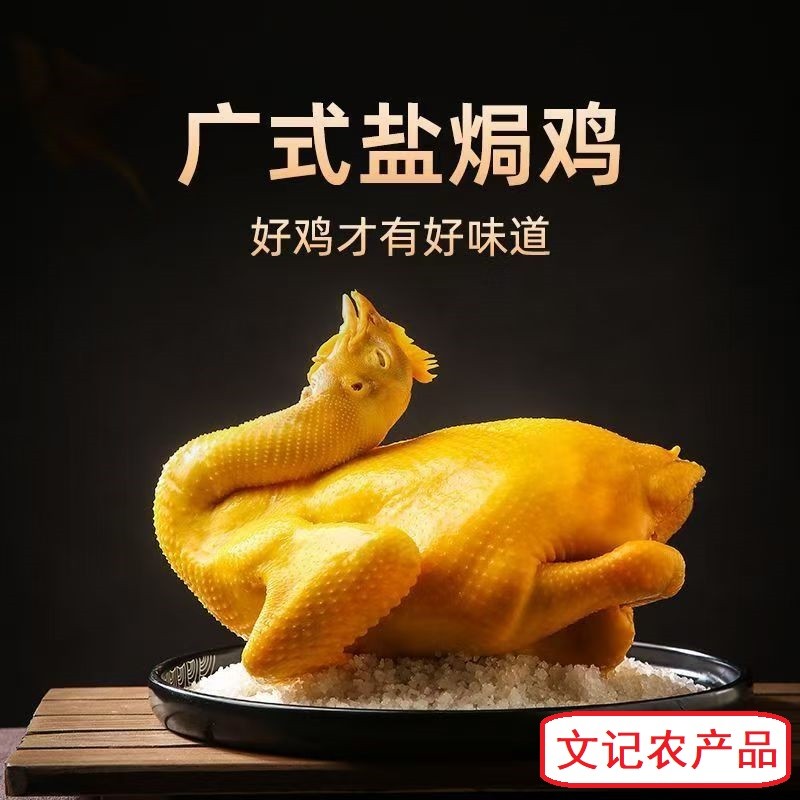 文记广式农家古法盐焗鸡 精选农家土鸡咸香入味加热食1000g/只