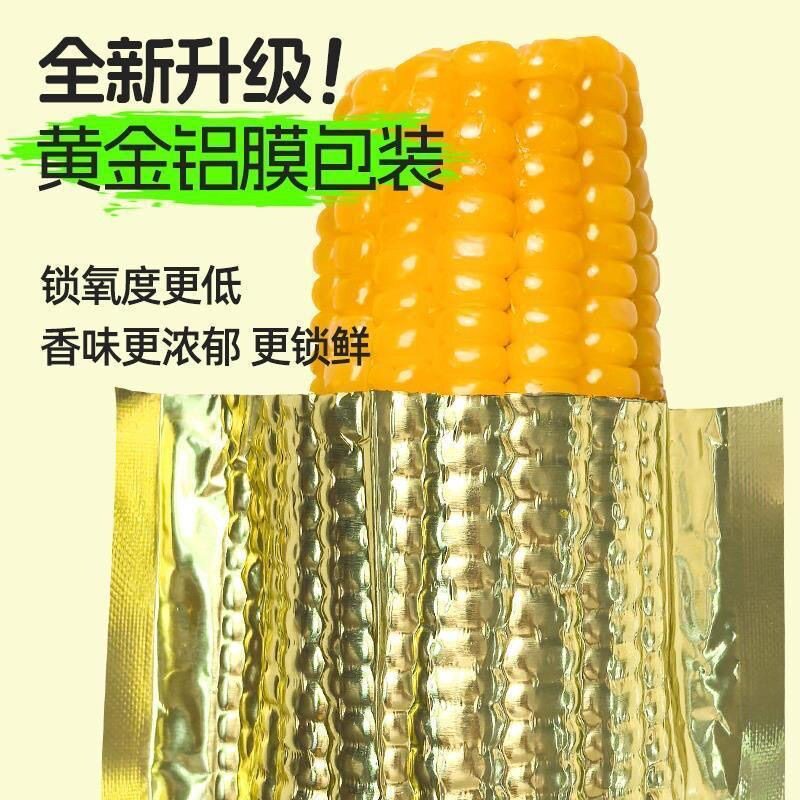 支持试吃东北鲜食黄糯玉米甜糯特大香糯拉丝粘玉米棒整箱直发