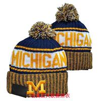 Michigan Wolverines Corum McCarthy Jersey Michigan Wolverines football jersey thumbnail 4
