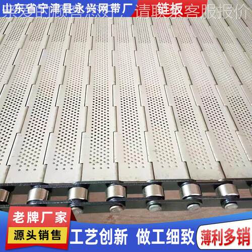 30QEW钢锈冲孔链不板重型碳4钢链板 药材金银花烘干机挡边传送机