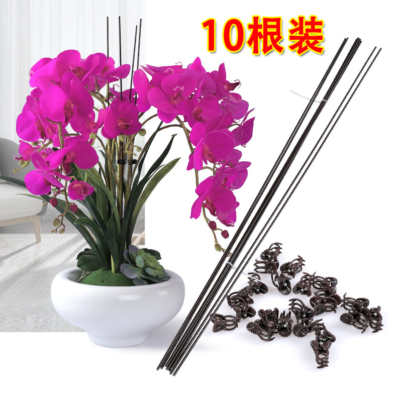 植物爬藤花架支架杆年花蝴蝶兰支撑杆造型蔓藤爬藤金钱树固定支架
