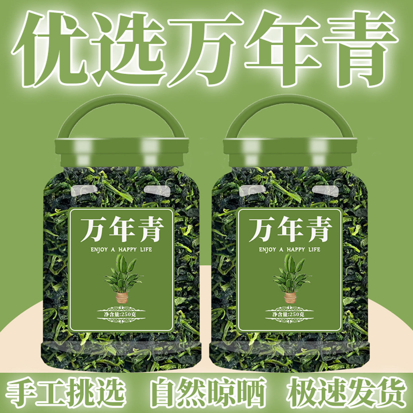 脱水万年青500g青菜干脱水蔬脱水蔬菜