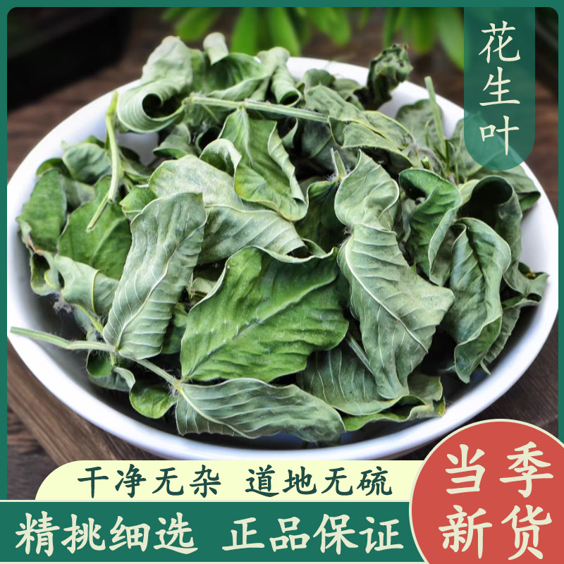 花生叶中药材安眠茶500g新鲜干货无农药花生叶茶泡水喝好睡眠图片