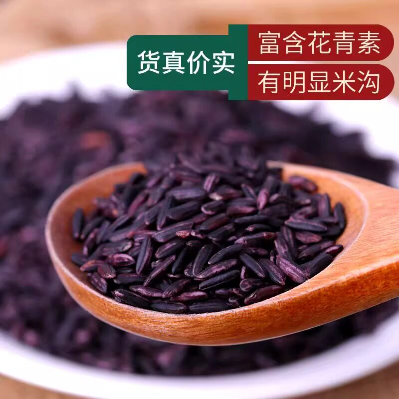 紫米新米优质农家自产大米新货五谷杂粮米正宗紫米饭家用煮粥煲饭