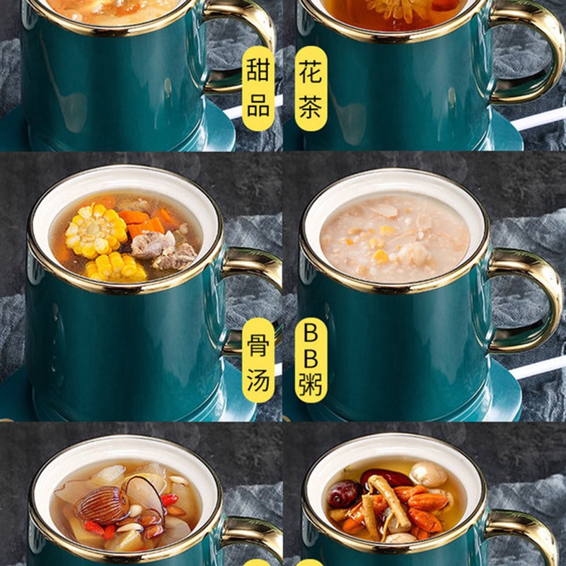 康煲贝陶瓷电炖杯养生杯煲汤迷你办公室茶壶煮粥杯康宝贝