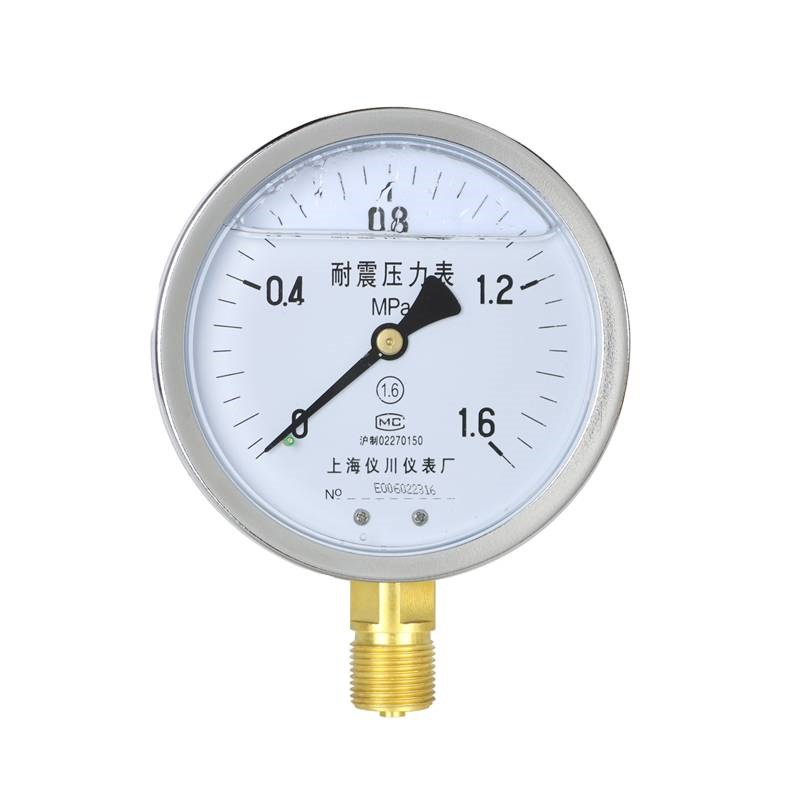 原装进口上海仪川仪表 耐震防震抗震压力表YN100 充油表 气压