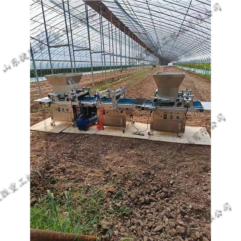 全自动穴盘育苗播种机园林花卉泡沫盘育苗机辣椒西红柿种子点播机