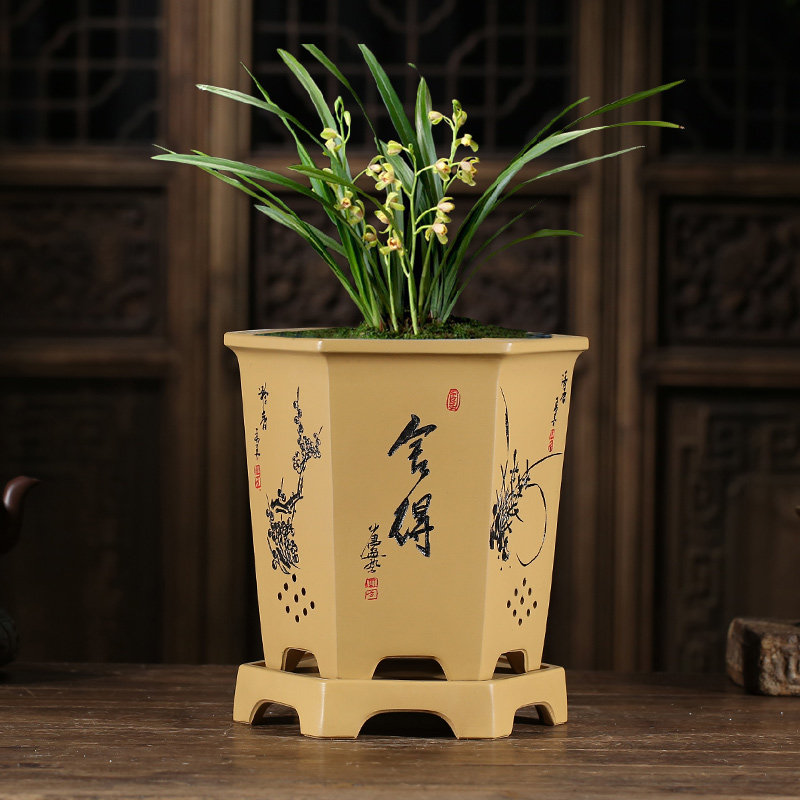 精品紫砂花盆兰花盆君子兰吊兰墨兰带托盘兰草陶瓷花盆兰花专用盆,鲜花速递/花卉仿真/绿植园艺,花盆,淘宝优惠券,粉丝福利购,淘宝优惠卷