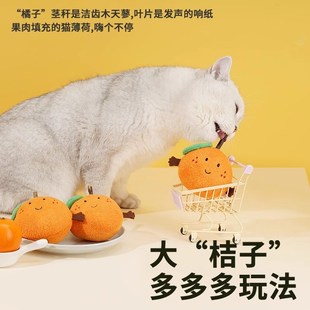Coni life橘子猫玩具zeze猫咪自嗨解闷神器逗猫棒木天蓼耐咬磨牙