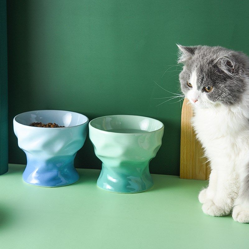 酷彩渐变猫碗陶瓷水碗猫食盆保护颈椎猫咪斜口高脚碗猫粮狗猫宠物,宠物/宠物食品及用品,猫狗碗/慢食碗,淘宝优惠券,粉丝福利购,淘宝优惠卷