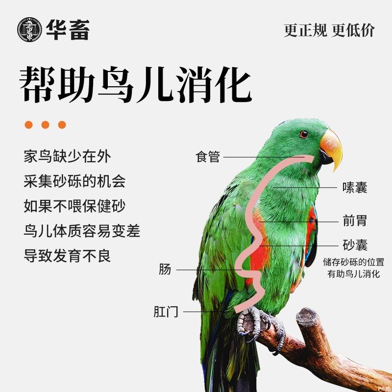 华畜鸟用保健砂高钙营养红土鹦鹉保健砂赛鸽信鸽补钙饲料鸽粮鸽子,宠物/宠物食品及用品,鸟食,淘宝优惠券,粉丝福利购,淘宝优惠卷