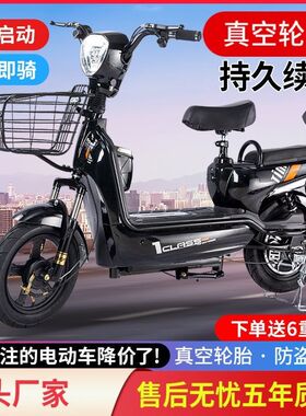 艾玛电动车两轮48锂电电瓶车双人男代步车