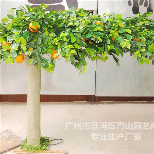 仿真水果树橙子树影楼拍摄舞台道具橘子树假植物摆件大型仿真树