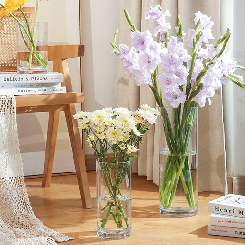 防摔PC花瓶亚克力摆件客厅插花玻璃透明水养直筒摔不碎落地马醉木