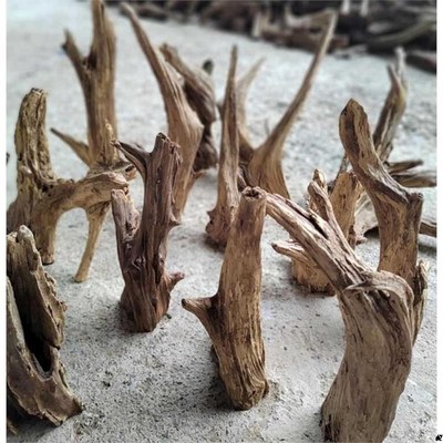 风化枯木造景小树根微景观装饰朽木创意手L工设计材料鱼缸爬宠平