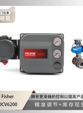 fisher费希尔 DVC6200智能阀门定位器搭配Neles 模块化球阀M 系列