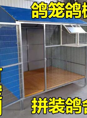 拼装鸽舍室外户高级棚蓬收鸽子笼用品组装精品大空间鸟笼白鸽养