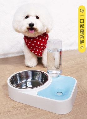 不湿嘴两用宠物碗 狗碗猫碗双碗自动续水碗喝水猫食盆狗盆防打翻