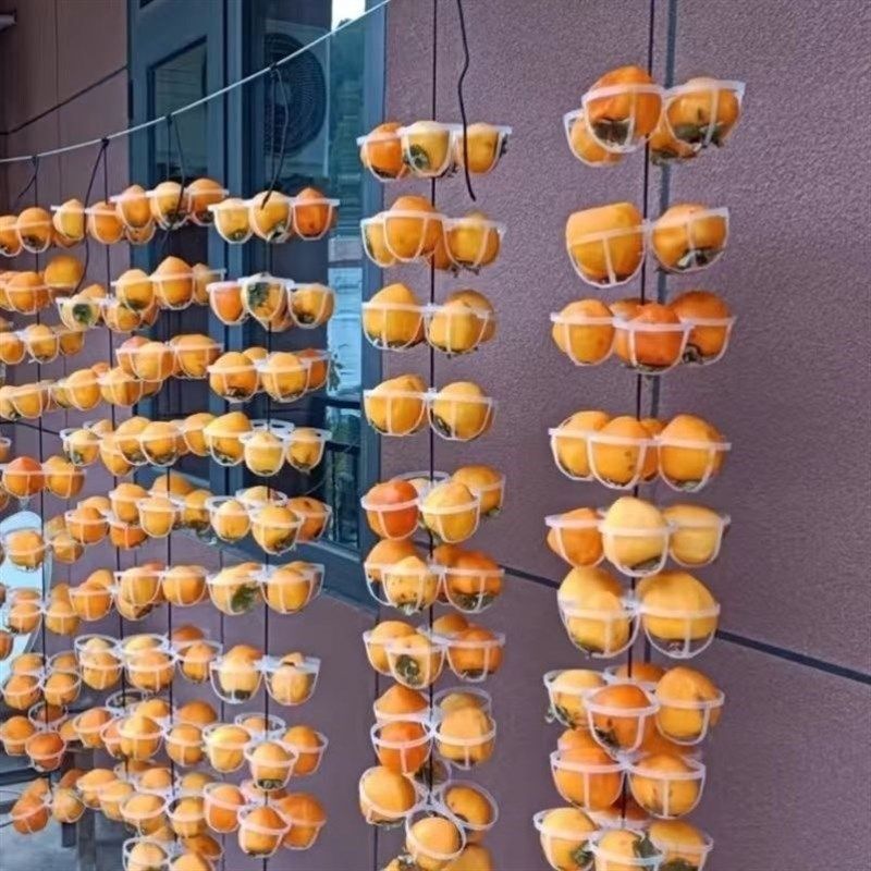 晒柿饼神器柿饼晾晒挂架柿饼晾晒工具塑料挂架柿子吊柿饼十字夹子,农机/农具/农膜,其它农用工具,淘宝优惠券,粉丝福利购,淘宝优惠卷