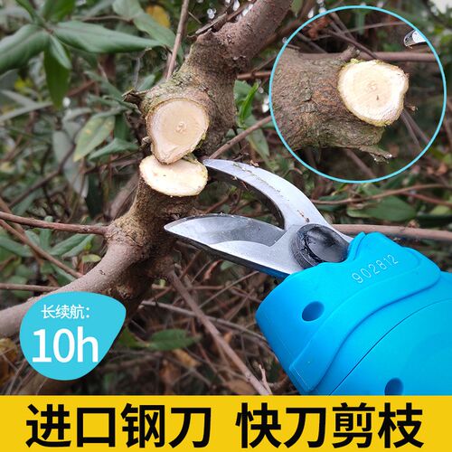 36V电动剪枝机修枝剪r果树园林剪刀园艺修剪机充电式高枝剪高空剪