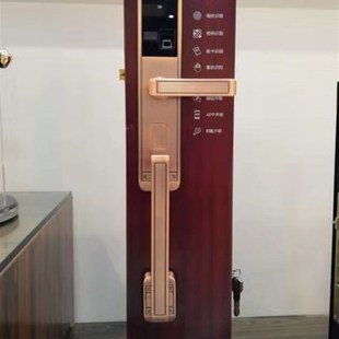纯铜指纹锁c 指纹密码锁 指纹智能锁 电子锁 纯铜门锁 电子锁体