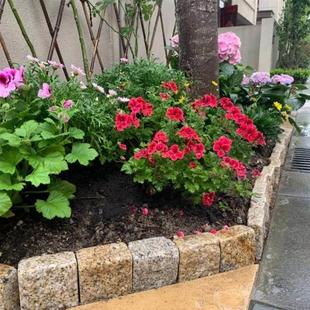 花台围边石花坛围边石庭院走边挡土石块绿化带隔断石砌花坛砌树池