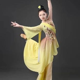 中国演出服古典舞桃李杯新款飘逸剧目寒依疏影表演舞蹈服装艺考