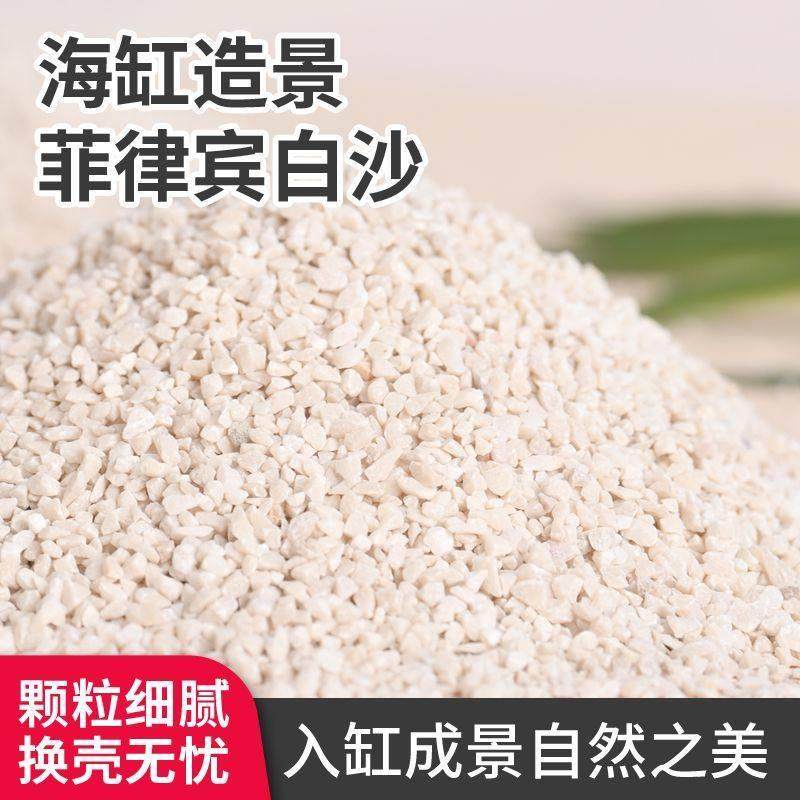 菲律宾沙珊瑚砂寄居蟹专用沙贝壳砂鱼缸专用纯天然垫材三湖慈稠,宠物/宠物食品及用品,海鲜缸/大型异形缸,淘宝优惠券,粉丝福利购,淘宝优惠卷