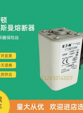 全新快速熔断器保险170M3488 170M3489 170M3490 170M3491