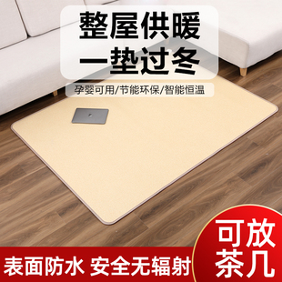 石墨烯碳晶地暖垫取暖脚垫家用电地暖加热地板发热地毯瑜伽馆定制