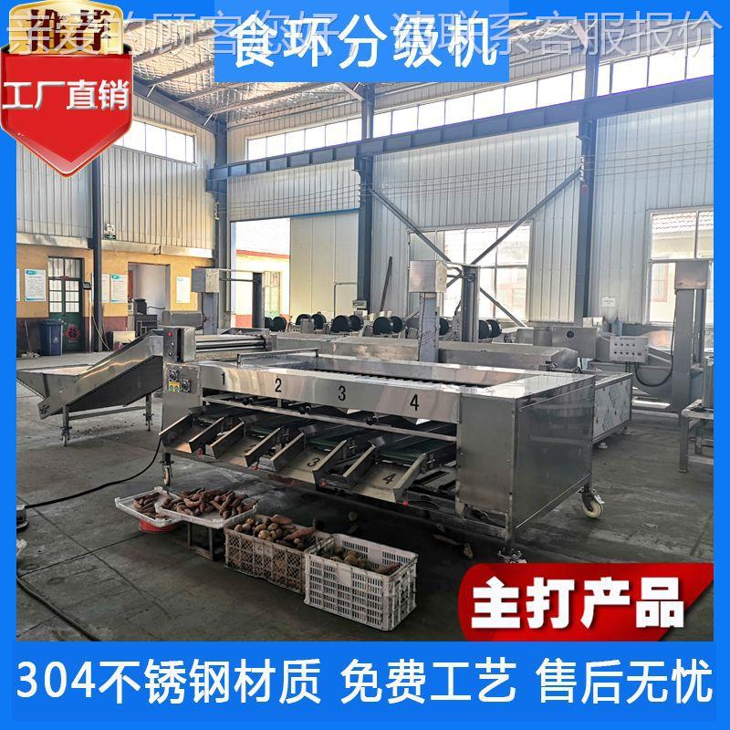 土豆滚杠式不锈YNQ钢分选选机 土豆干分选机 马机铃薯分果洗蔬分