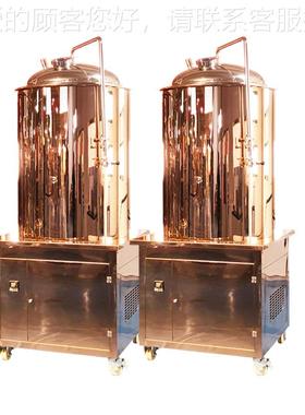 啤酒精酿造机械精酿啤酒酿造机 AYT器酿 小型酿造啤酒设配备 技术