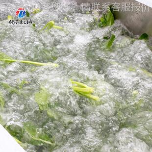 蔬菜气泡洗机 锁饭店餐厨厅房连洗菜机 水果清REA洗清机 可组生产