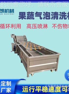 全自动果蔬VYS气泡洗机中药材洗设清备蒲公清英鱼腥草高喷淋清压