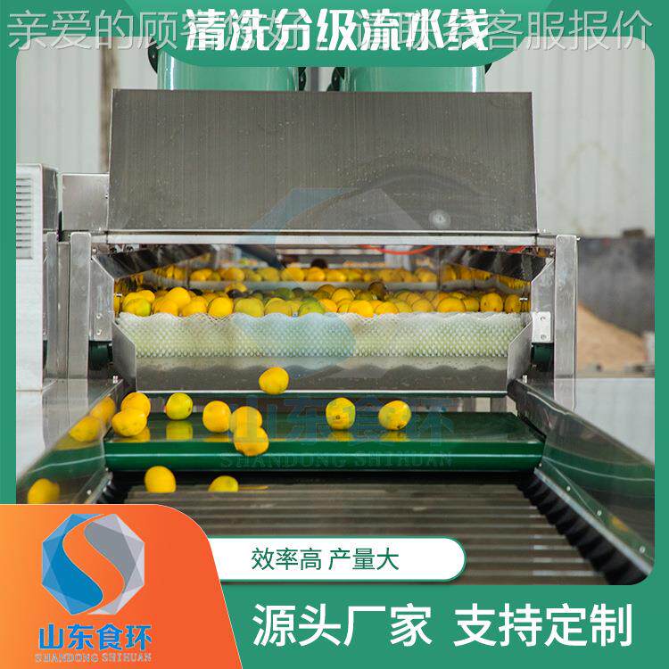 橙子清柠檬小柑橘洗橘级流水线VIZ 分沃柑小金清洗分级流水线厂家