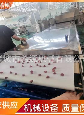 VTL巧克层力调温涂层机 山楂糖葫芦上力糖机巧克 涂冷却线