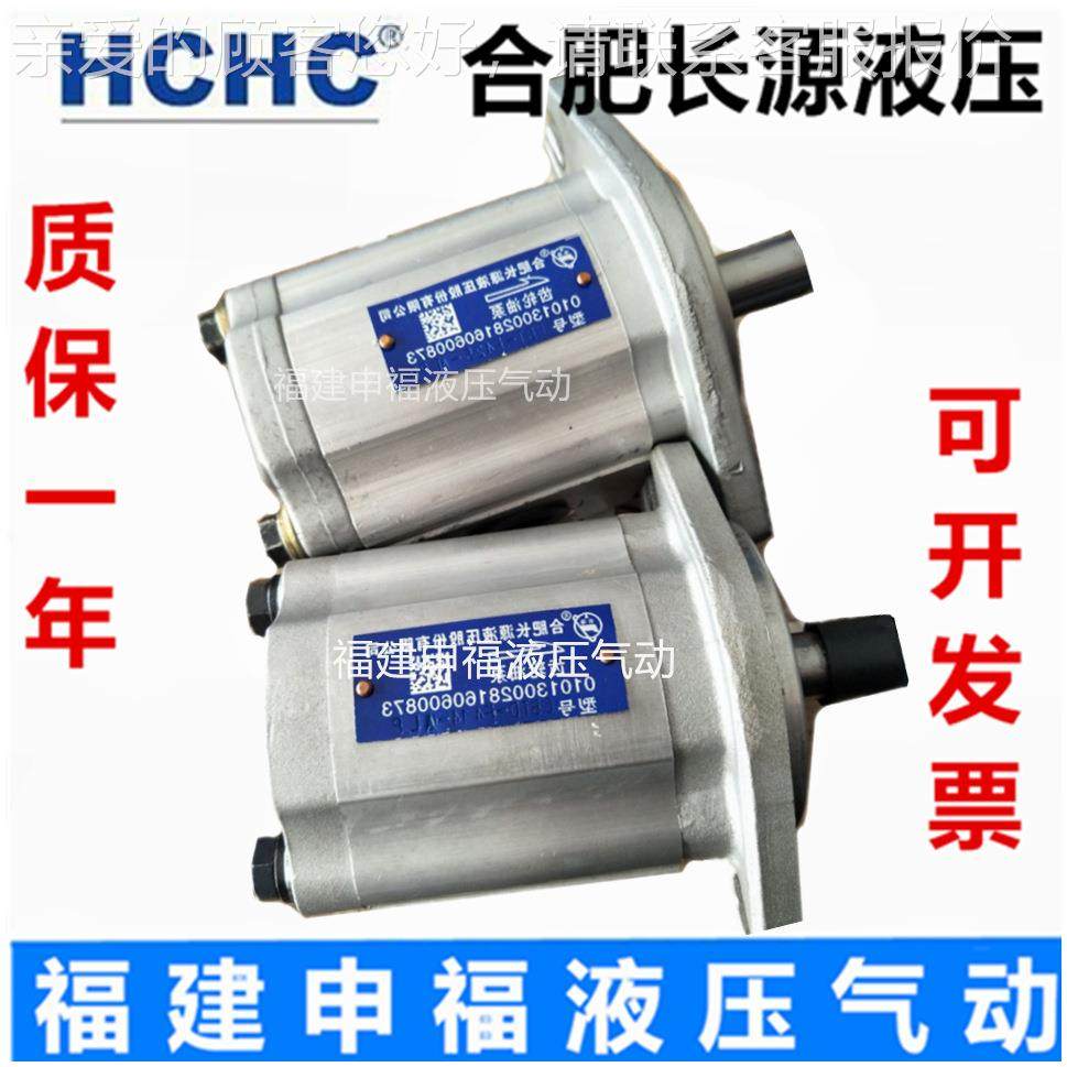 合肥齿轮油泵CB4T-F10 4F412.5 BFVF41 4F16 F420- AFP AFH