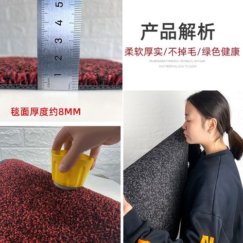 入户门地垫门口地毯门外高级感2024新款高端室外进门耐脏脚垫门垫