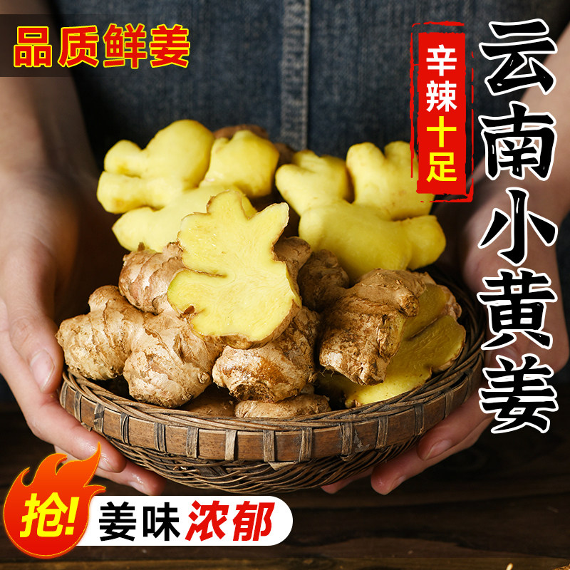 2025新云南小黄姜嫩姜红河新鲜生姜老姜现挖高山沙姜土姜种子蔬菜