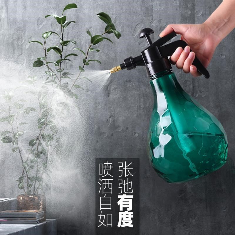 喷壶浇花家用压力喷雾壶气压式浇水大G洒水壶喷雾器消毒专用喷水