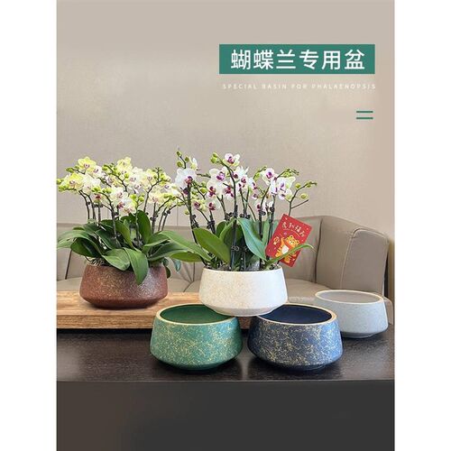 蝴蝶兰花盆专用高档陶瓷家用盆栽矮盆G大口径组盆套盆轻奢兰花花
