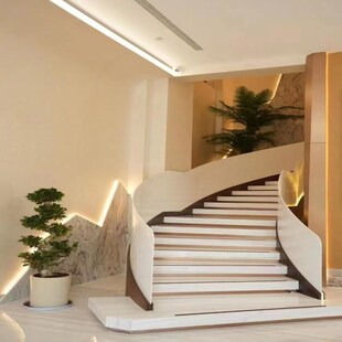 金钱榕树盆栽室内客厅招财绿w植摇钱树办公室盆景庭院植物乔迁送