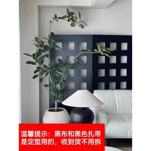 孟加拉榕客厅绿植大型盆栽造型高山榕办公室内植物室好养橡皮树